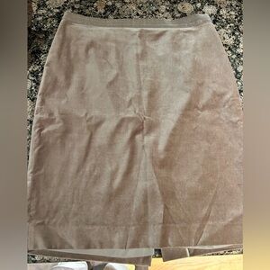 Ann Taylor skirt
